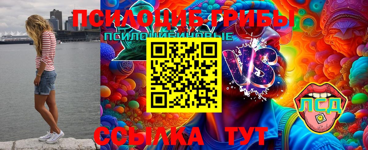 Волгодонск  Галлюциногенные грибы MAGIC MUSHROOMS  Вход с VPN 