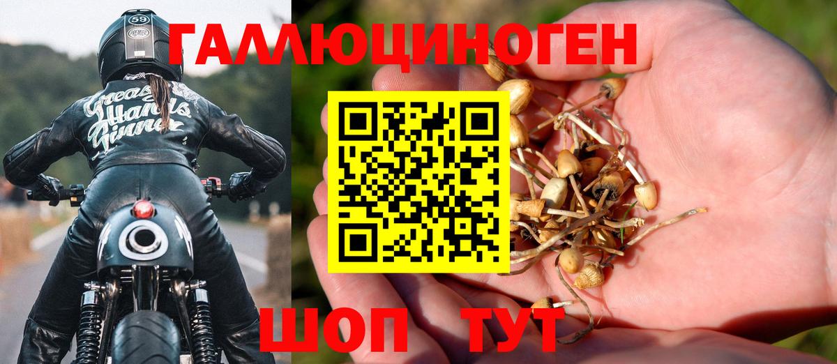 Галлюциногенные грибы MAGIC MUSHROOMS Волгодонск