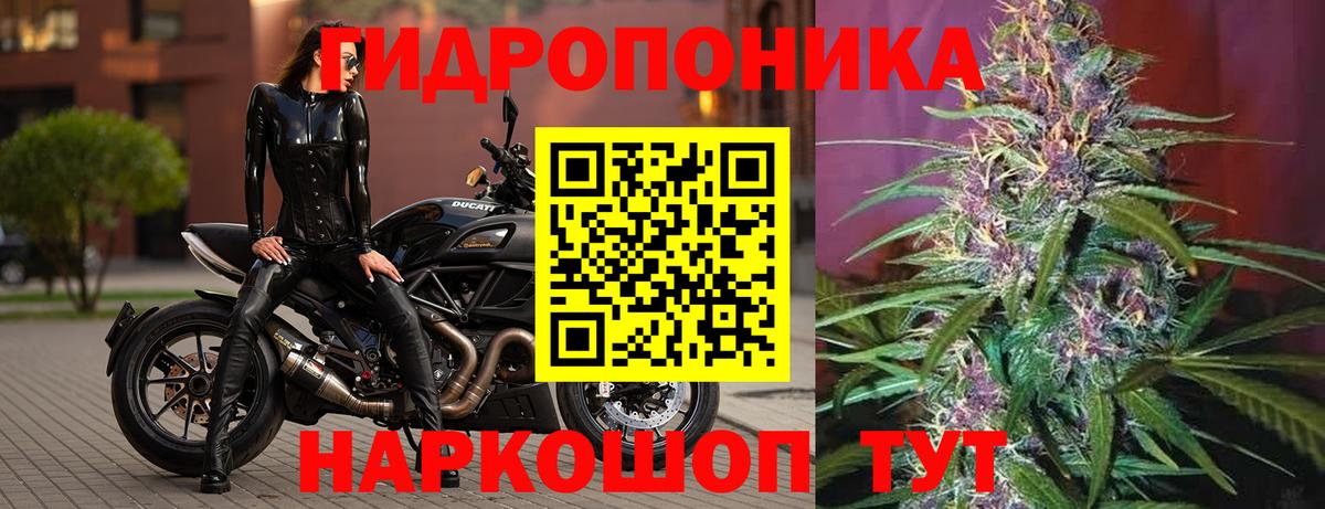Шишки марихуана Amnesia Волгодонск